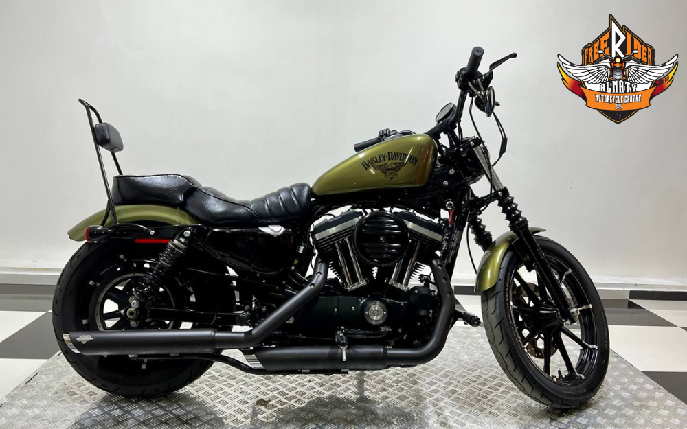 Harley-Davidson XL883N IRON, 2016 года